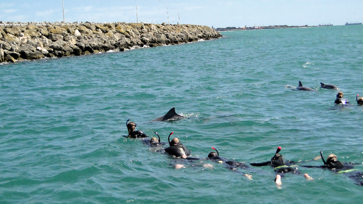 Australia173